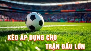 TIN TỨC - AF88